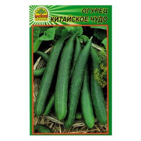 Насіння огірка Китайське диво 10 шт. (Насіння країни)
