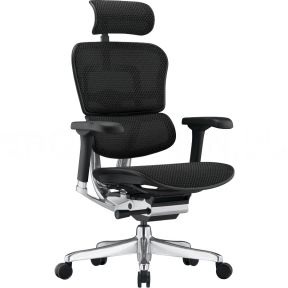 Кресло компьютерное ERGOHUMAN ELITE 2 (EHE2-AB-HAM-5D-L) BLACK