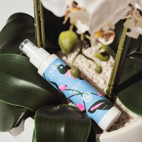 Антибактеріальний спрей для іграшок Goliate Nettoyant Sextoy 100 мл, безпечний для тіла | Зображення 7