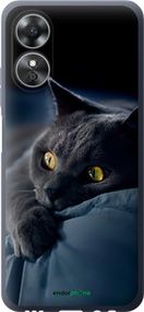 Чохол на Oppo A17 Димчастий кіт "825u-2954-2448"