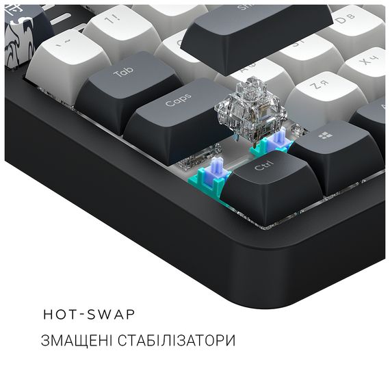 Клавіатура Dark Project ALU87 Bushido ABS RGB Mech G3MS Moonstone Black/White (DPKB_BUSHIDO_87_ANSI_UA) | Зображення 7