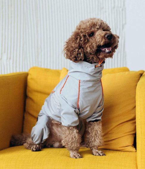 Дощовик кант сiрий M-102 | Зображення 1