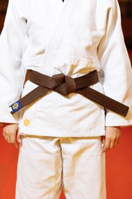Коричневий пояс для дзюдо ТМ "Kintayo", Wazari 180 зріст