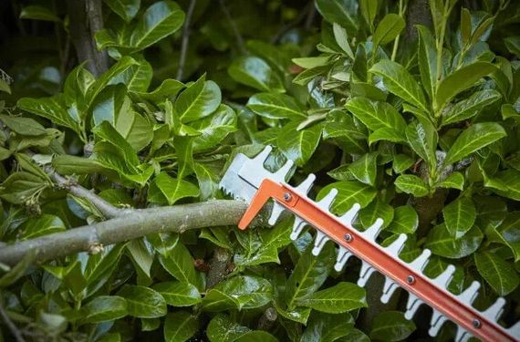 Кущоріз електричний Black&Decker BEHTS551 | Зображення 3