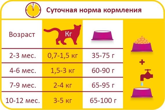 Сухий корм для кошенят з куркою Lara Junior 2 кг | Зображення 1