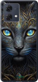 Чохол на Motorola Moto G84 Кішка "5548u-3344-2448"