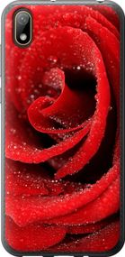 Чехол на Huawei Y5 2019 Красная роза "529u-1695-17620"