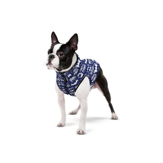 Курточка для собак WAUDOG Clothes з малюнком "Бетмен біло-блакитний", S40, В 52-55 см, С 36-39 см | Зображення 3