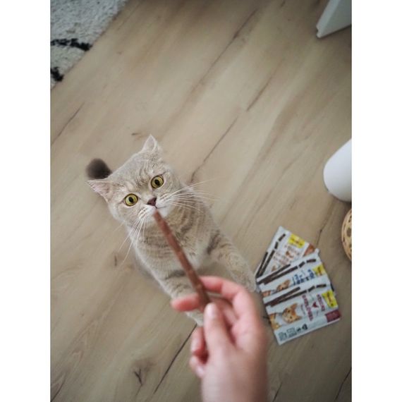 Ласощі для котів з птахом GimCat Sticks Poultry, 4 шт | Зображення 2