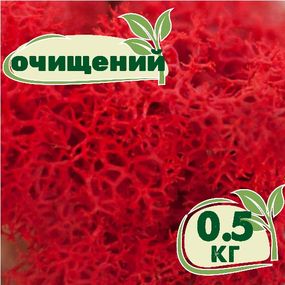 Очищенный стабилизированный мох ягель Nordic moss Красный 0,5 кг