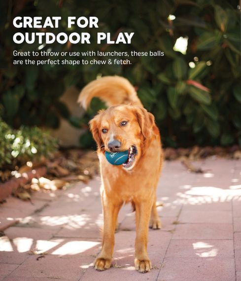 Набір іграшок для собак Outward Hound Squeaker Ballz Squeaky Tennis Balls, 4 см | Зображення 1