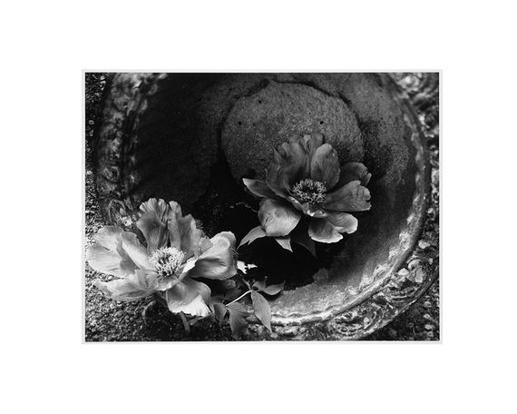 Книга фотоискусство история Minor White "Manifestations of the Spirit" книги о фотографах 20 века Минор Уайт | Зображення 4