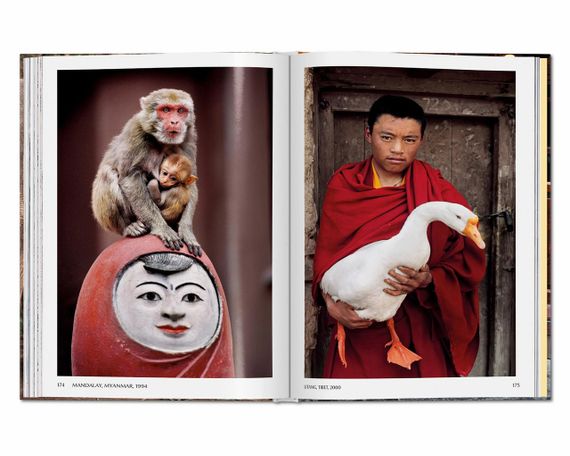 Лучшие фотографы мира подарочная книга по фотографии Стив Маккарри. Steve McCurry. Animals | Зображення 2