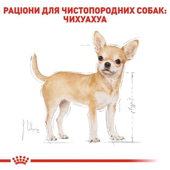 Вологий корм Royal Canin Chihuahua Adult для дорослих собак породи чихуахуа, 85 г | Зображення 1