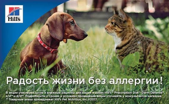 Сухий корм для собак усіх порід Hill's Prescription Diet Derm Defense Chicken з куркою 2 кг 10562 | Зображення 3