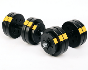 Гантели разборные Besport PowerPro 2х13,5кг