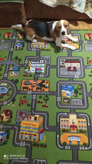 Килимок дитячий з дорогою Small City | Зображення 4