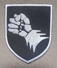 Шеврон 6 бронетанкова дивізія