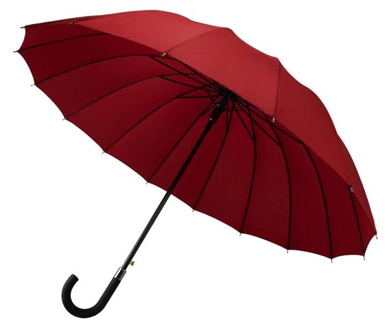 Парасолька Semi Line Red (2512-5) (DAS302139)