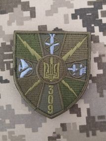 Шеврон РЕБ 309