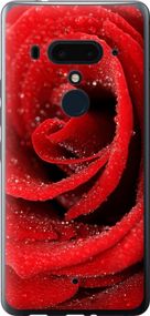 Чехол на HTC U12 Plus Красная роза "529u-1712-17620"