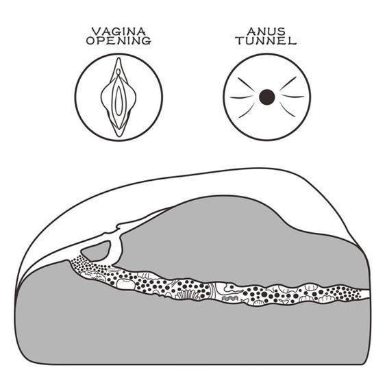 Мастурбатор - Streetgirl's #1 Black Sex Aura | Зображення 3