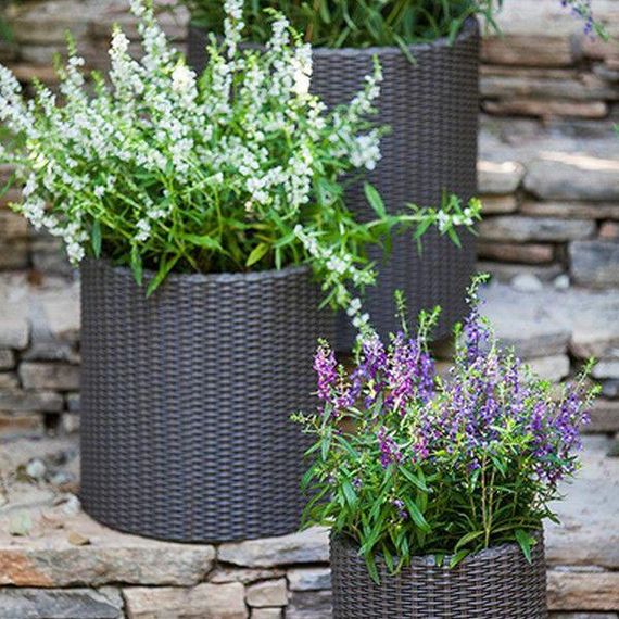 Горщик для квітів (кашпо) Keter (Кетер) Cylinder Planter L (17197837) Антрацит | Зображення 4