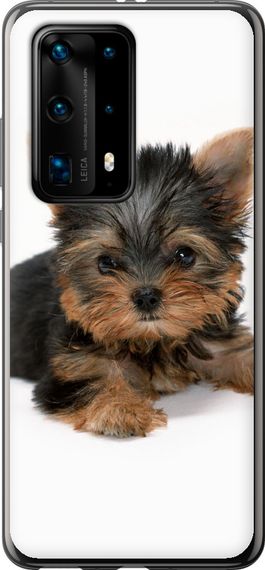 Чехол на Huawei P40 Pro Plus Щенок йоркширского терьера "931u-1917-17620"