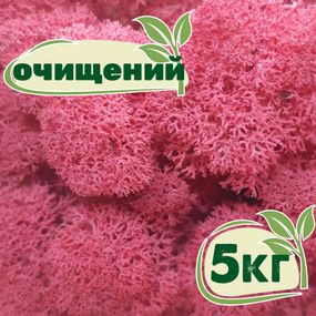 Очищений стабілізований мох ягель Цикламен 5 кг