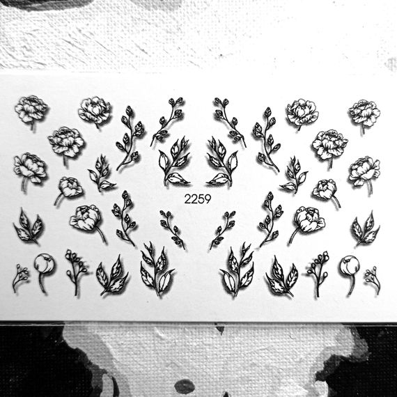 Слайдер 2259 на водяній основі