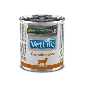 Влажный корм для собак после операций и отравлений Farmina Vet Life Convalescence, 300 гр