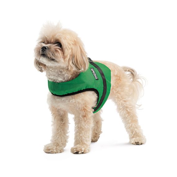 Шлея Ross ТМ Pet Fashion для собак S | Зображення 1