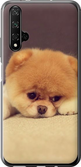 Чехол на Huawei Nova 5T Boo 2 "890u-1833-17620"