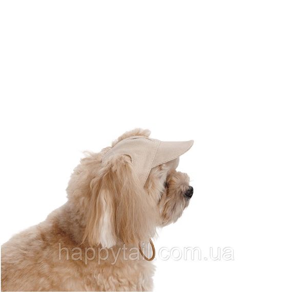 Кепка для собак Pet Fashion Glamor XS золотиста — літній бавовняний капелюх з отвором для топ-кнот | Зображення 1