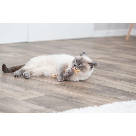 Іграшка для котів Trixie Matatabi Brush, 24 см | Зображення 2