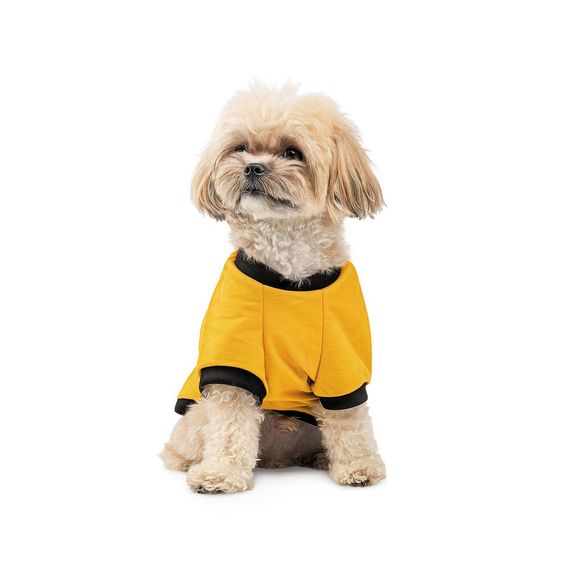 Футболка Pet Fashion Jessica для собак бавовна трикотаж жовта XXS | Зображення 2