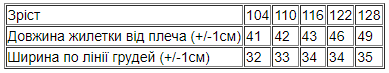 Жилетка для хлопчика Носи своє 110 Синій (p-12151-134568) | Зображення 2