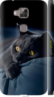 Чохол на Huawei G7 Plus Димчастий кіт "825m-952-2448"