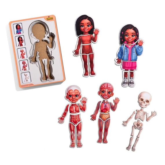 Дерев'яний пазл-вкладиш "Анатомія людини - дівчинка-3" (ПСД264) PSD264 будова тіла | Зображення 1