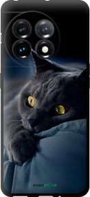 Чохол на OnePlus 11 Димчастий кіт "825b-2940-2448"
