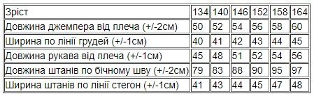 Костюм для дівчинки (підлітковий) Носи своє 146 Блакитний (p-4453-135761) | Зображення 3