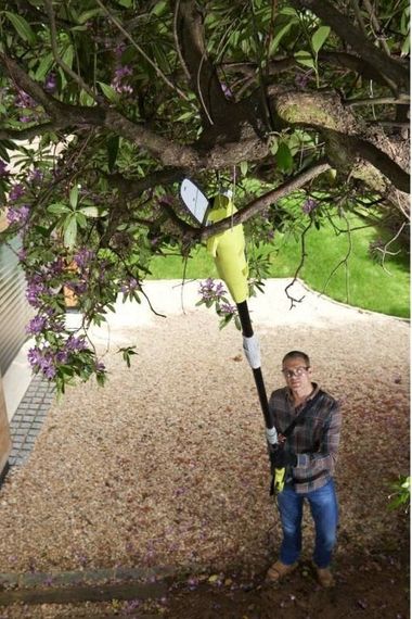 Висоторіз-кущоріз Ryobi RP750450 750/450 Вт (5133002315) | Зображення 1