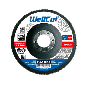 Диск пелюстковий торцевий d125мм T27 P80 WellCut