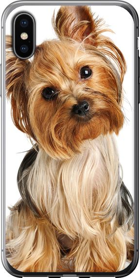 Чехол на iPhone X Йоркширский терьер с хвостиком "930u-1050-17620"