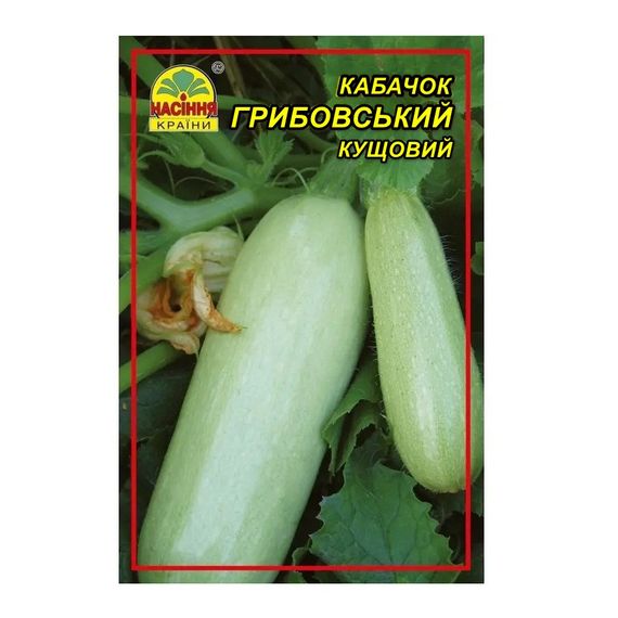 Насіння кабачок Грибовський 10 г (Насіння Країни)
