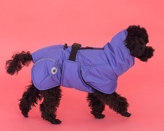 Жилет попона фiолет GP-4