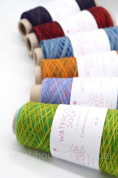 Шкарпеткова пряжа Laines du Nord Watercolor Sock, 106 | Зображення 2