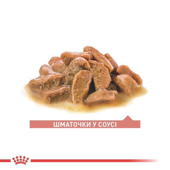 Royal Canin Ageing 11+ вологий корм для літніх котів усіх порід 85 гр | Зображення 1