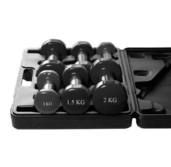 Набір гантелей в кейсі 9 кг. PowerPlay 4121 Fitness Dumbells (2шт.*1кг. 2шт.*1,5кг. 2шт.*2кг.) | Зображення 4