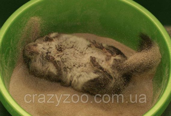 Пісок для шиншил Lolo Pets 1.5 кг LO-71051 | Зображення 1